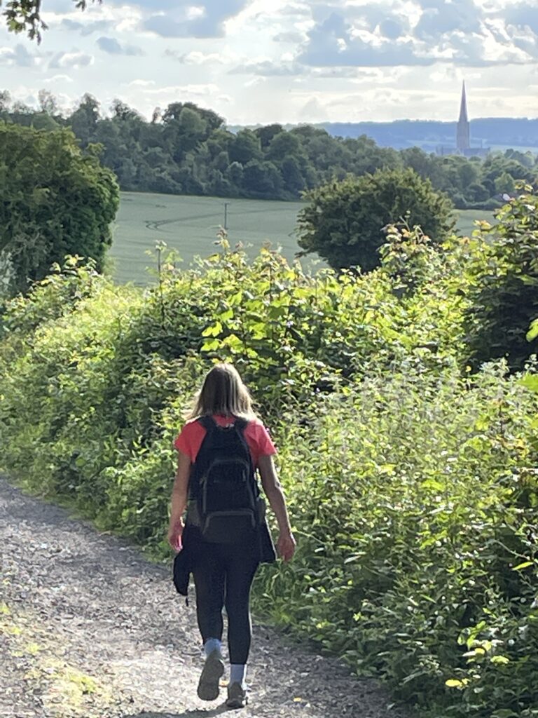 approaching-salisbury-end-clarendon-way