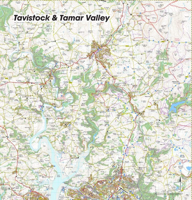 Tavistock 768x800 
